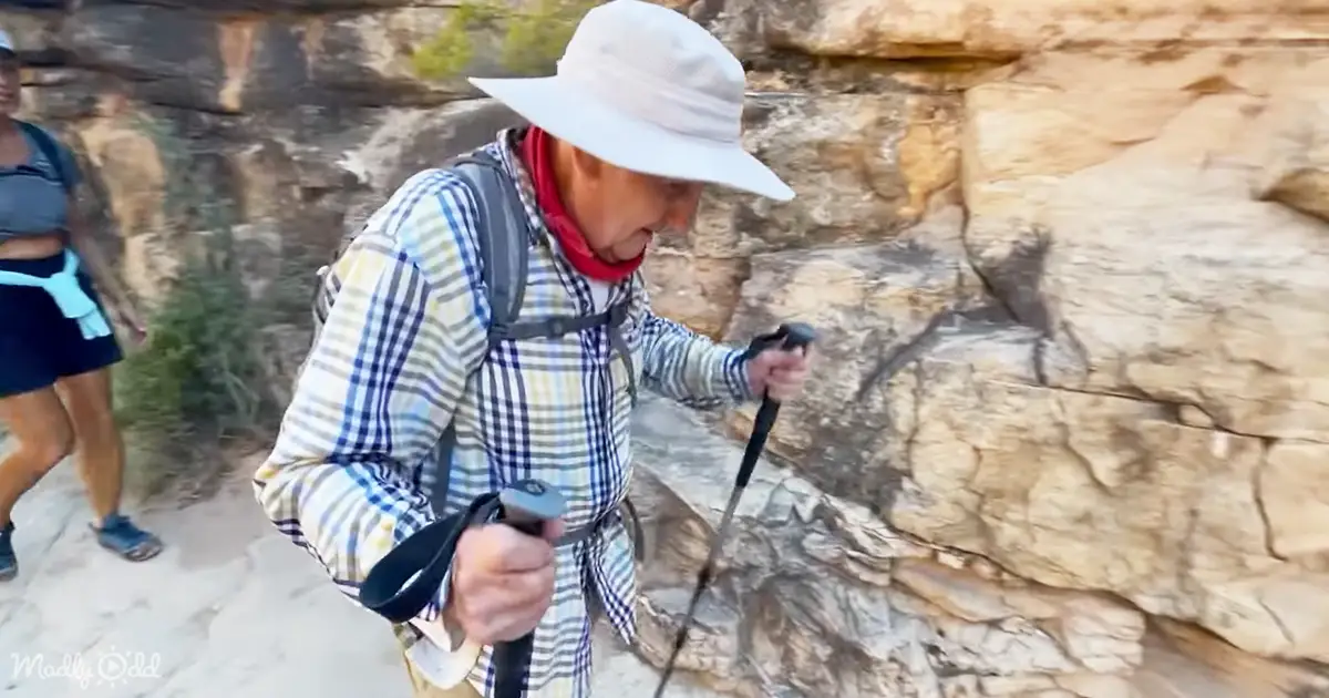 92-Year-Old Sets Record, Completes 24-Mile Grand Canyon Rim-To-Rim On ...