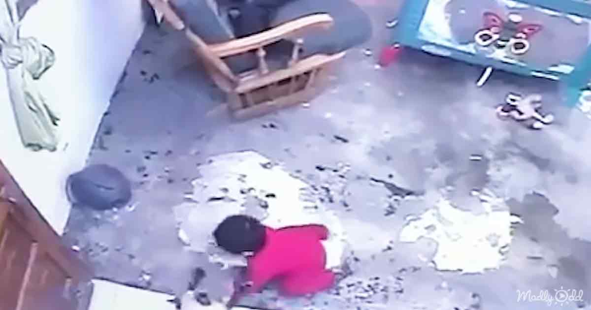 Cat saves baby